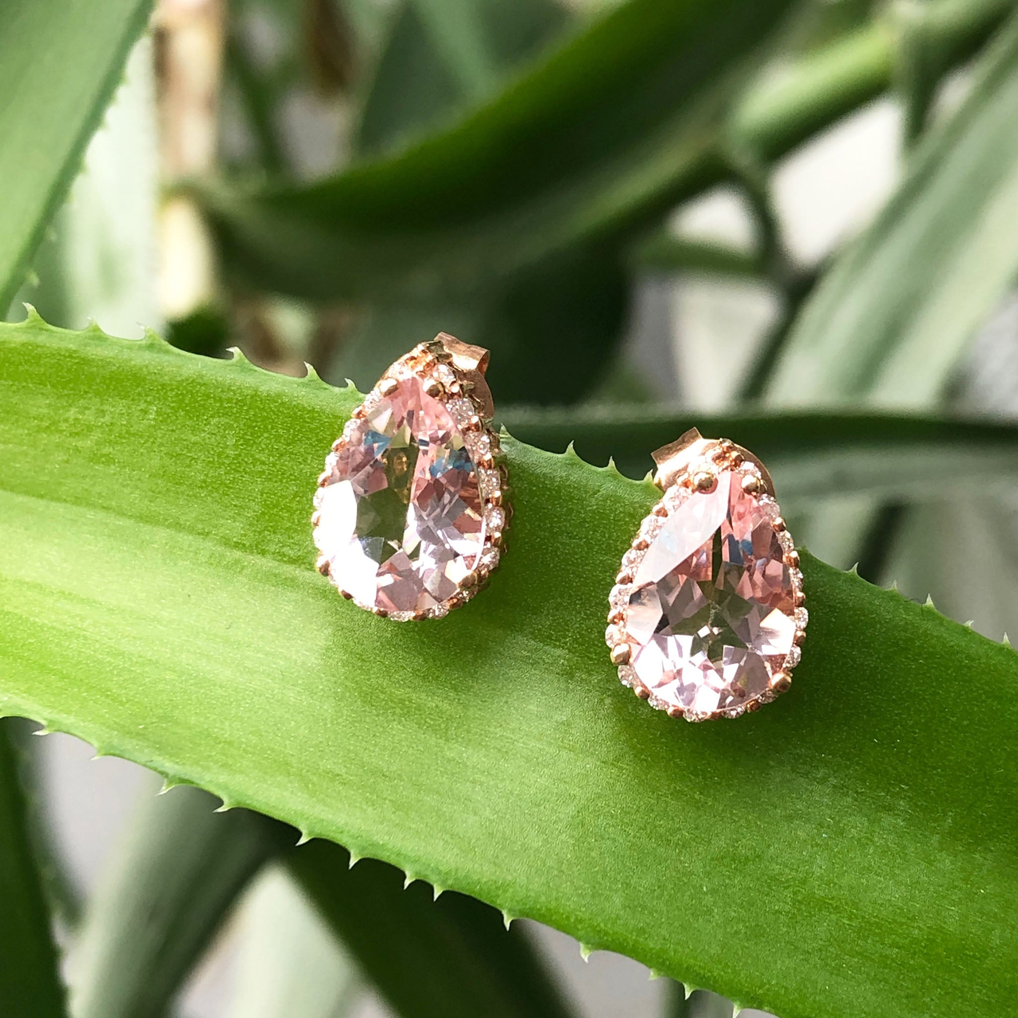 Morganite Earrings