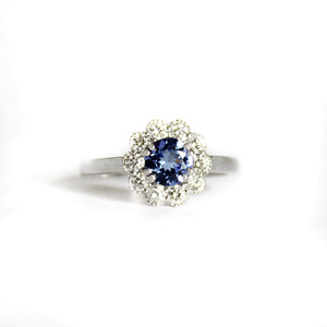 Botanical Tanzanite and Beaded Set Diamond Halo White Gold Ring