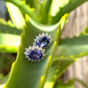 Regal Oval Diamond Halo Tanzanite White Gold Studs