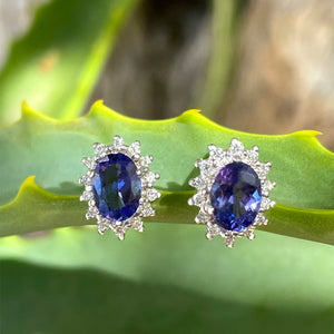 Regal Oval Diamond Halo Tanzanite White Gold Studs