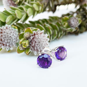 Silver 4 Claw Amethyst Studs 7mm x 7mm