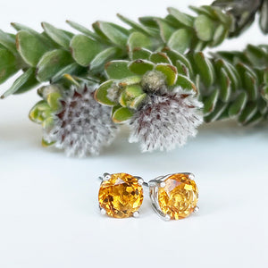 Silver 4 Claw Citrine Studs 7mm x 7mm